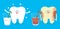 Healthy cartoon tooth with a milk and cavity tooth with a soda. Dental care and hygiene illustration.