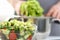 Healthy Chopped Organic Vegetable Avocado Salad