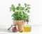 Healthy cooking setting with potted basil in terracotta plant pot, olive oil in glass bottle and spices in jar at white background