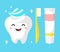 Healthy cute cartoon tooth character