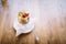 Healthy dessert in a glass on a wooden table