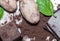 Healthy dessert recipe - organic raw cacao bean seed with chocolate, powder and cacao candy dessert cubes with basil green leaf