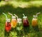 Healthy detox colourful drinks on green grass