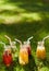 Healthy detox colourful drinks on green grass