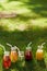 Healthy detox colourful drinks on green grass