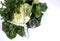 Healthy diet health foods with leafy green vegetables and tape measure.