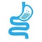 Healthy digestion logo. stomach icon on white background. human stomach and gastrointestinal system. flat style