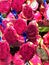 Healthy dragon fruit and colours in Boqueria Market, Barcelona, Spain