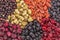 Healthy dried superfruit berries