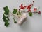 Healthy eating. Close-up of a branch of a red currant bush and a bunch of three garlic