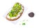 Healthy eating. Multi-grain bread with avocado and sprouts cress lettuce