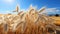 Healthy eating vibrant, organic wheat and barley harvest in summer generated by AI