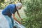 Healthy elder bent back working at home pruning plants cut the bush cleaning at backyard