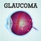 Healthy Eye Glaucoma