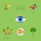 Healthy eyes lifestyle flat vector infographic: diet, fitness
