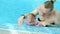 Healthy family. Mother teaching baby in swimming pool