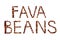 Healthy Fava Beans Word Phrase