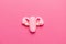 Healthy female uterus on pink background. Gynecological diseases and pain treatment. Reproductive system and pregnancy