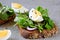 Healthy fitness toasts with arugula and egg. Useful snack lunch. Useful vegetarian toast.