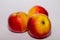 Healthy food - apples. yellow and red aplles. autumn`s presents