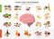 Healthy food and bad food for brains infographic elements in detailed flat design isolated on white background. Big