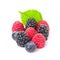 Healthy food berries group. Macro shot of fresh raspberries, blueberries and blackberries with leaves isolated on white background