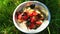 Healthy food, breakfast, dried berries