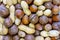 Healthy food concept. Close-up of peanuts, hazelnuts, brazil nuts (macadamia).