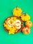 Healthy food concept. Mixed dehydrated pumpkin, apples chips on trendy mint background, with blank space for text. Top view