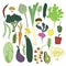 Healthy food isolated vegetables colorful set