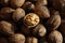 Healthy food natural walnuts