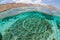 Healthy and Fragile Table Corals in Komodo National Park