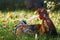 Healthy free sitting in grass with red crest