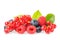 Healthy fresh food berries group. Macro shot of fresh raspberries, blueberries, blackberries, red currant and blackberry with