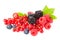Healthy fresh food berries group. Macro shot of fresh raspberries, blueberries, blackberries, red currant and blackberry with leav