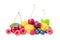 Healthy fresh fruits. Composition of ripe red sweet cherry with horns, raspberries, apricots and blueberries with leaves isolated