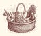 Healthy fresh organic vegetables in a wicker basket. Natural farm food concept. Vector illustration sketch vintage