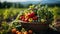 Healthy of Fresh Vegetables a farmer a basket of freshly harvested vegetables.The vibrant assortment of broccoli, tomatoes, and