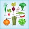 Healthy fresh vegetables icons