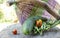 Healthy fresh vegetables ingredients in knitted basket