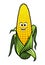 Healthy fresh yellow corn vegetable