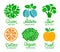 Healthy fruit and vegetable colourful sticker set. Green, Nature, Bio, Fresh, Vegan, Detox lettering inscription. Natural product