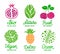 Healthy fruit and vegetable colourful sticker set. Green, Nature, Bio, Fresh, Vegan, Detox lettering inscription. Natural product