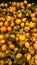 Healthy fruits, mandarin fruits background. Orange fruit background. Mandarin fruits at market store