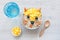 Healthy Funny Cute Breakfast For Kids. Oatmeal Porridge