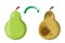 Healthy good pear fruit become bad. Rotten pear, food waste