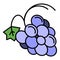 Healthy grape icon color outline vector