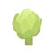 Healthy green artichoke graphic illustration