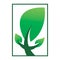 Healthy green nature leaf square frame logo design
