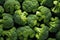 Healthy green organic raw broccoli florets